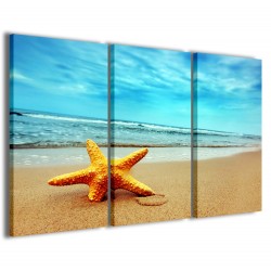 Quadro Poster Tela Starfish 120x90