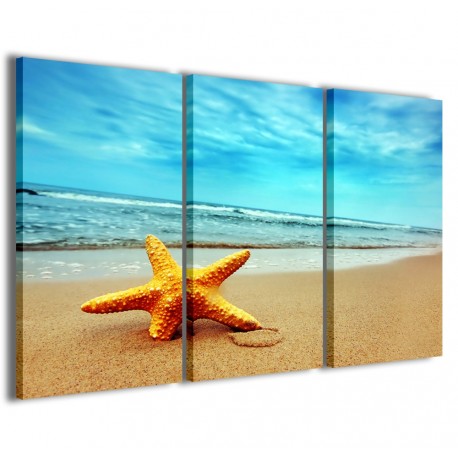 Quadro Poster Tela Starfish 120x90 - 1