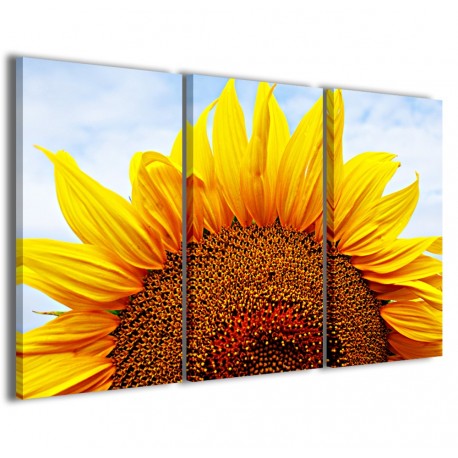 Quadro Poster Tela Sunflower VII 120x90 - 1