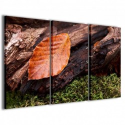 Quadro Poster Tela Foliage Composition 100x70 - 1