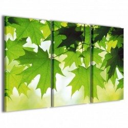 Quadro Poster Tela Naturally 100x70