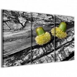 Quadro Poster Tela Oak in Autumn 100x70