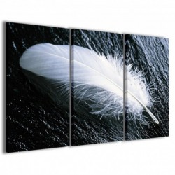 Quadro Poster Tela Solitary Feather 100x70