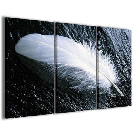 Quadro Poster Tela Solitary Feather 100x70 - 1