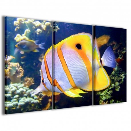 Quadro Poster Tela Butterfly Fish 100x70 - 1