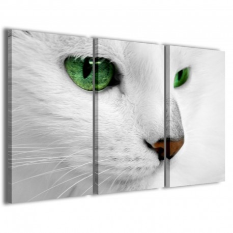 Quadro Poster Tela Cat 100x70 - 1