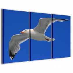 Quadro Poster Tela Gull 100x70