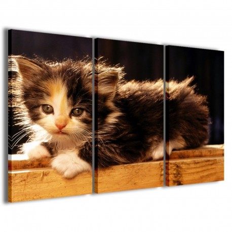 Quadro Poster Tela Kitty II 100x70 - 1