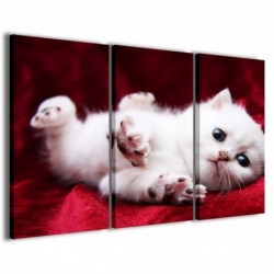 Quadro Poster Tela Kitty 100x70