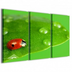 Quadro Poster Tela Ladybug in Green 100x70