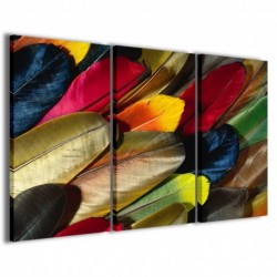 Quadro Poster Tela Plumage II 100x70