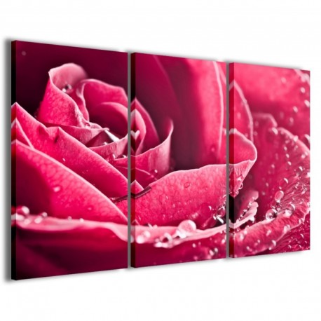 Quadro Poster Tela Beatiful Rose 100x70 - 1