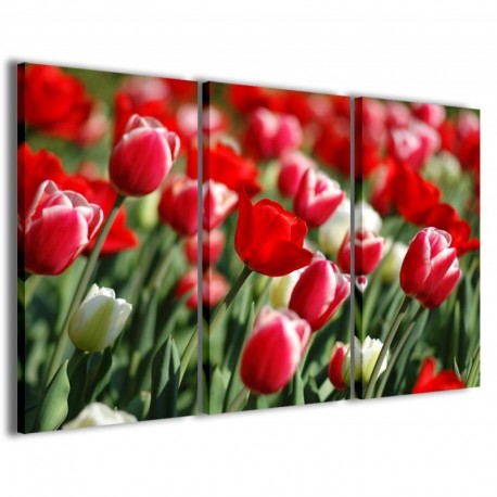 Quadro Poster Tela Field of Tulips 100x70 - 1