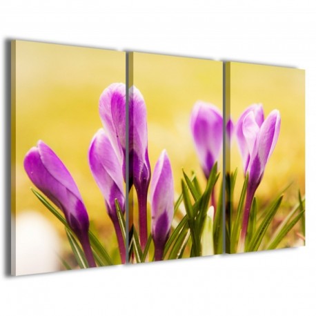 Quadro Poster Tela First Flower 100x70 - 1