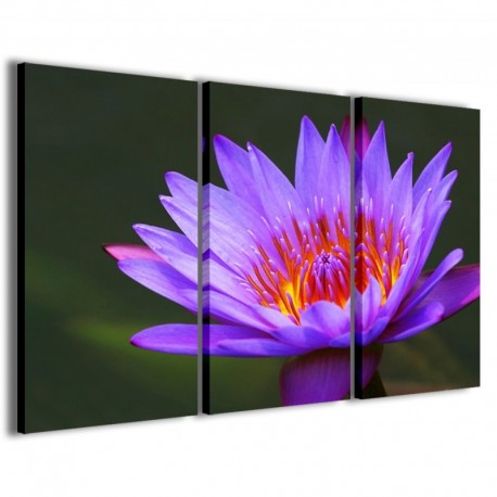 Quadro Poster Tela Flower Water II 100x70 - 1