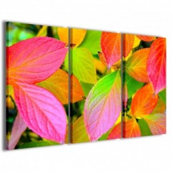 Quadro Poster Tela Foliage Color 100x70