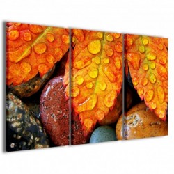 Quadro Poster Tela Foliage Rain 100x70