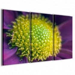 Quadro Poster Tela Green Macro Flower 100x70