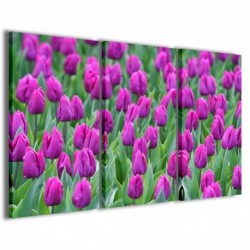 Quadro Poster Tela Holland Tulips 100x70