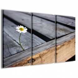 Quadro Poster Tela Lonely Daisy 100x70