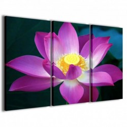 Quadro Poster Tela Lotus Flower II 100x70