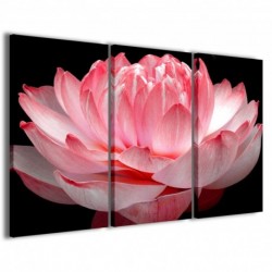 Quadro Poster Tela Lotus Flower 100x70 - 1