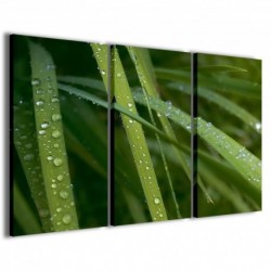 Quadro Poster Tela Macro Meadow 100x70 - 1