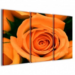 Quadro Poster Tela Orange Rose Flower 100x70