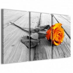 Quadro Poster Tela Orange Rose 100x70