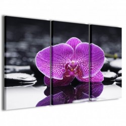 Quadro Poster Tela Orchidea Reflected III 100x70