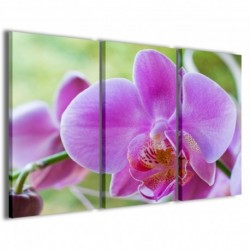 Quadro Poster Tela Orchidea 100x70