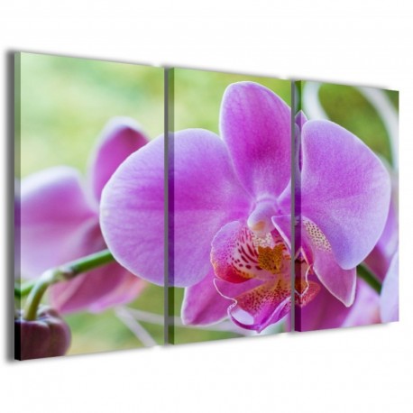 Quadro Poster Tela Orchidea 100x70 - 1