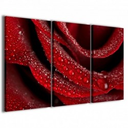 Quadro Poster Tela Particular Rose 100x70