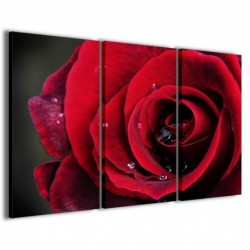 Quadro Poster Tela Red Rose II 100x70