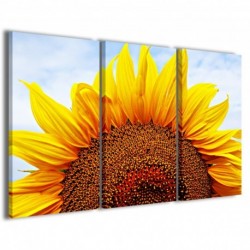 Quadro Poster Tela Sunflower VII 100x70