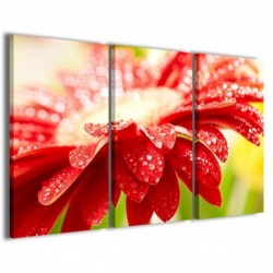 Quadro Poster Tela Superb Flower II 100x70