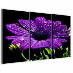 Quadro Poster Tela Superb Flower 100x70