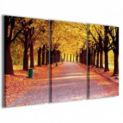 Quadro Poster Tela Colors of Autumn 100x70 - 1