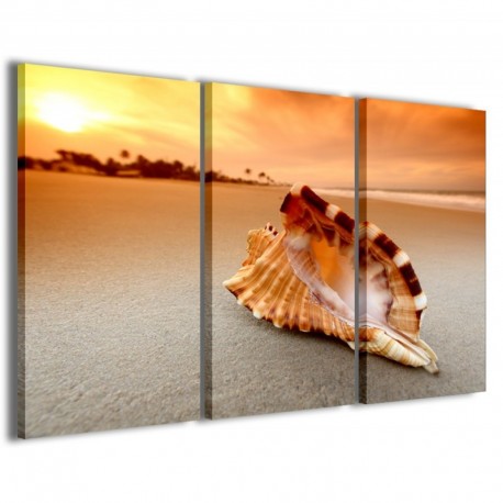 Quadro Poster Tela Conch on Sea 100x70 - 1