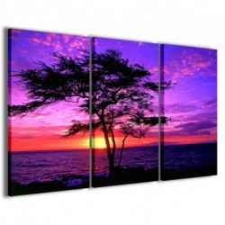 Quadro Poster Tela Kiawe Tree Hawaii 100x70