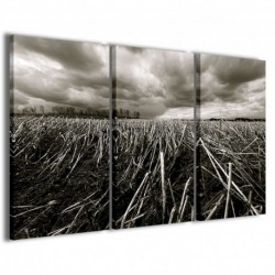 Quadro Poster Tela Mysterious Nature 100x70