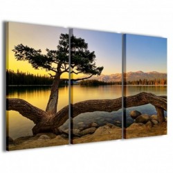 Quadro Poster Tela Mysterious Plant On Lake 100x70