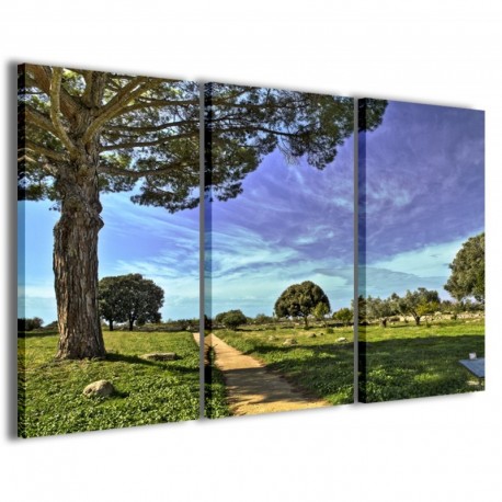 Quadro Poster Tela Natur Color 100x70 - 1