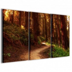 Quadro Poster Tela Path In The Woods 100x70