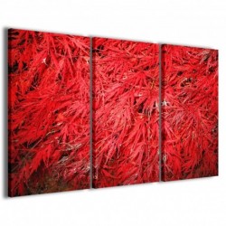 Quadro Poster Tela Red Foliage 100x70