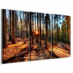 Quadro Poster Tela Redwood Park II 100x70