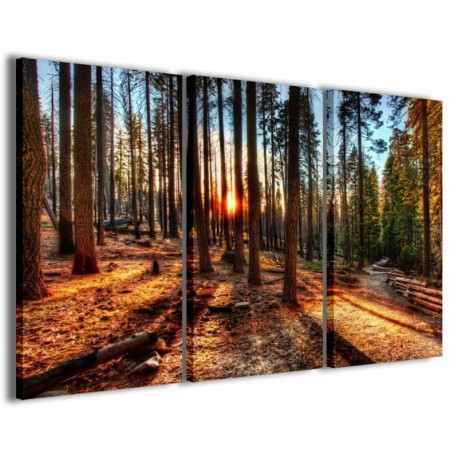 Quadro Poster Tela Redwood Park II 100x70 - 1