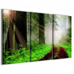 Quadro Poster Tela Redwood Park 100x70