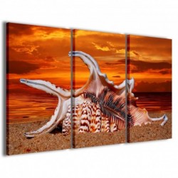 Quadro Poster Tela Sea Shell 100x70