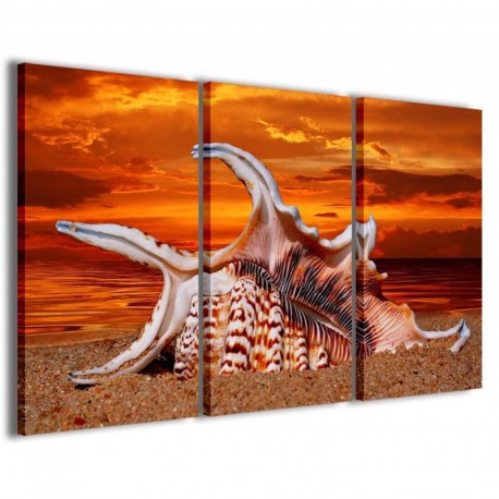 Quadro Poster Tela Sea Shell 100x70 - 1